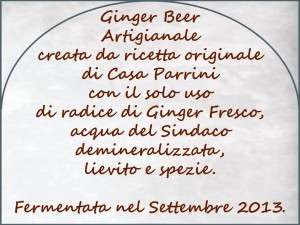 CasaParrini - Ginger Ale retro