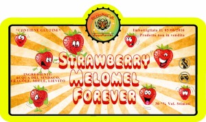 CasaParrini - Strawberry Melomel Forever